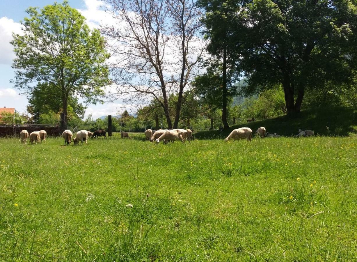 Kuca Za Odmor Dikka Brusane Lika Exteriér fotografie